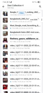 Desi Collection 4 (925 Videos)