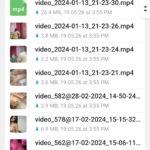 Desi Collection 3 (645 Videos)